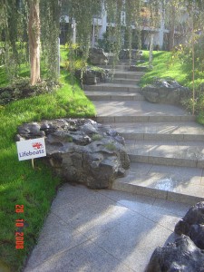 Granite steps (6)